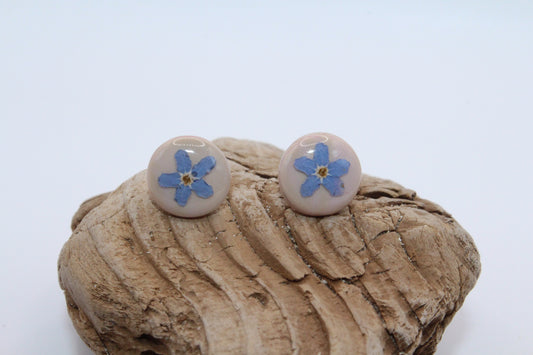 Forget-me-not Pressed Flowers Stud Earrings