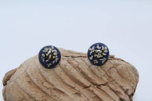 Pressed Queen Anne's Lace Royal Blue Stud Earrings