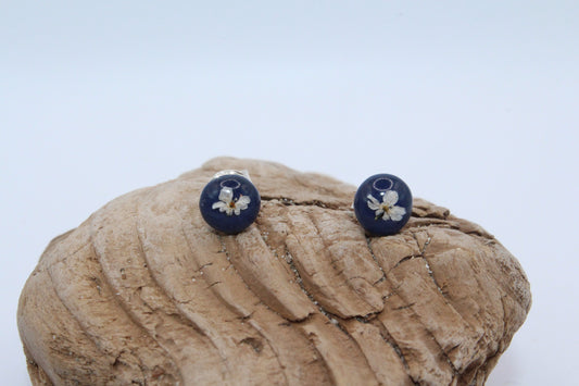 Pressed Queen Anne's Lace Royal Blue Stud Small Earrings