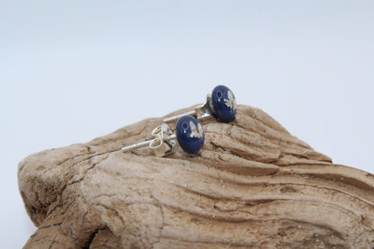 Pressed Queen Anne's Lace Royal Blue Stud Small Earrings