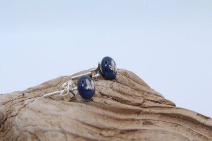 Pressed Queen Anne's Lace Royal Blue Stud Small Earrings